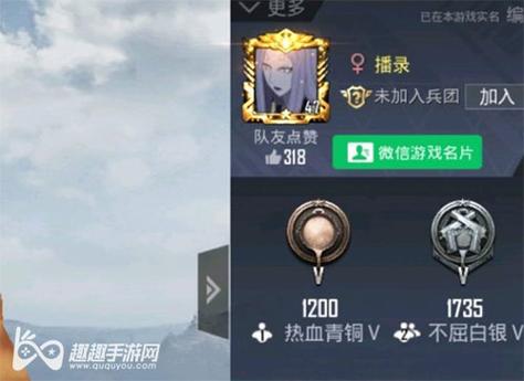 和平精英辅助【EAP+雷神】